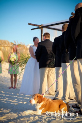 Best Port St Joe wedding photographer - Sandra Johnson (SJFoto.com)